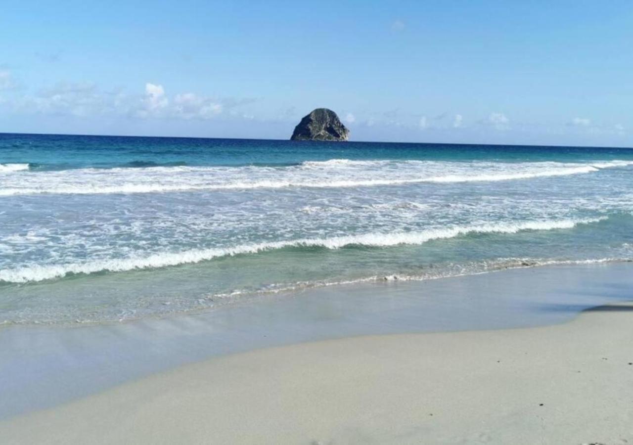 Villa Cocotier A 50 Metres De La Plage Le Diamant Exteriör bild
