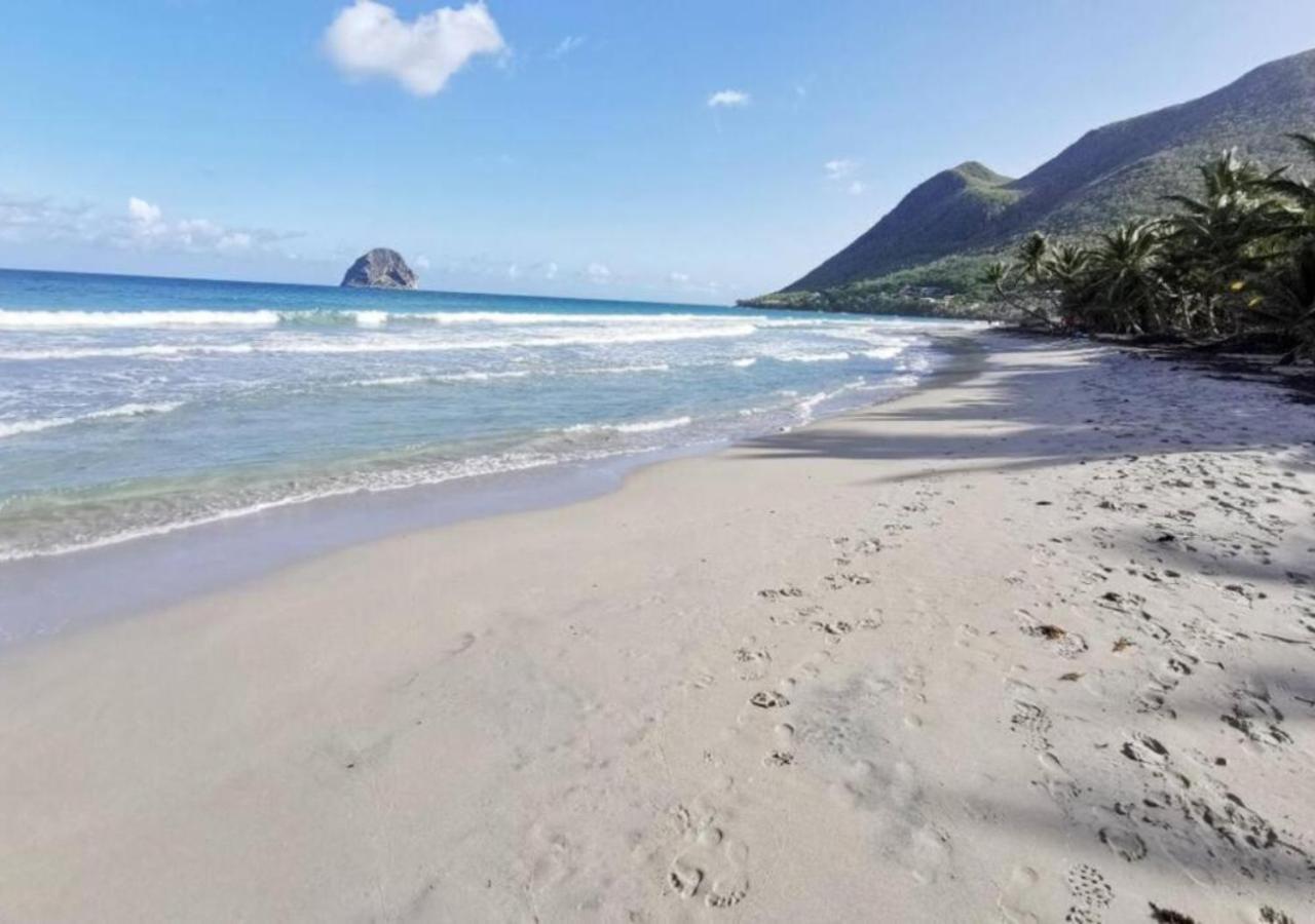 Villa Cocotier A 50 Metres De La Plage Le Diamant Exteriör bild